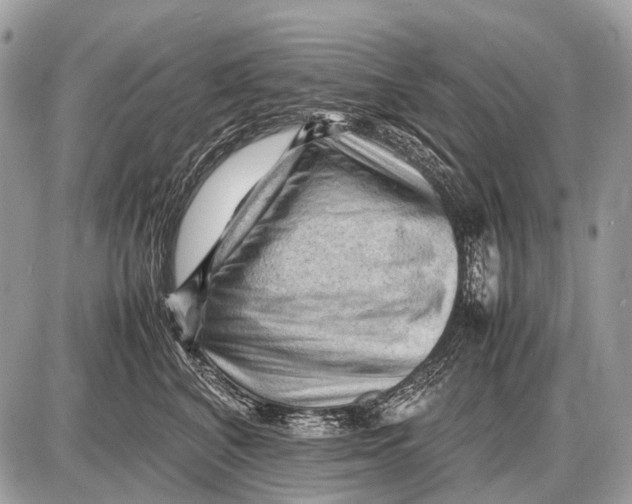 X0000087400616200705111827