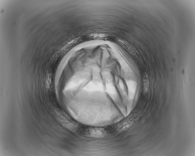 X0000087400618200705111827