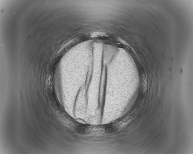 X0000087400619200705111827