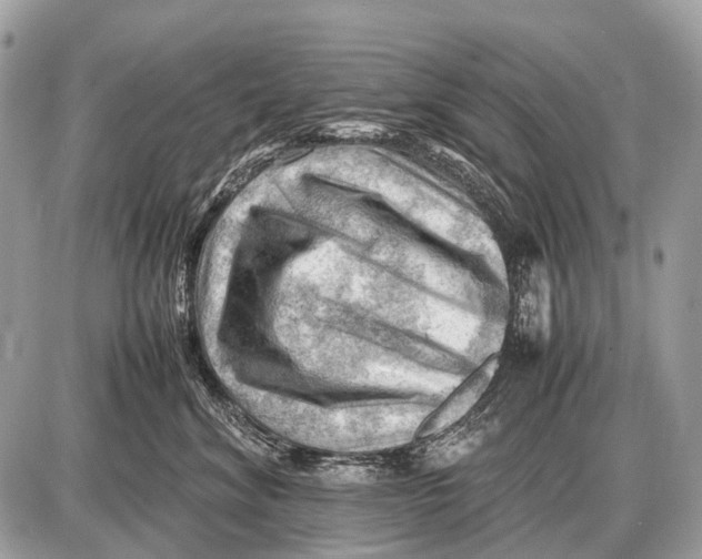 X0000087400620200705111827