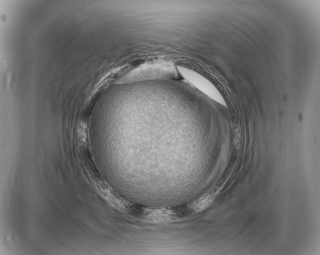 X0000087400621200705111827