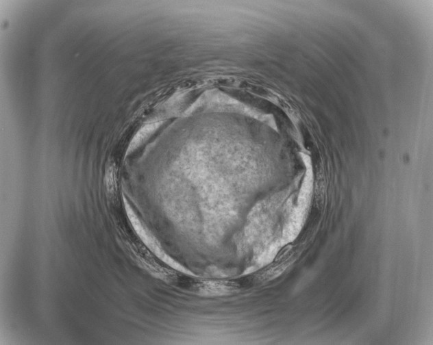 X0000087400623200705111827