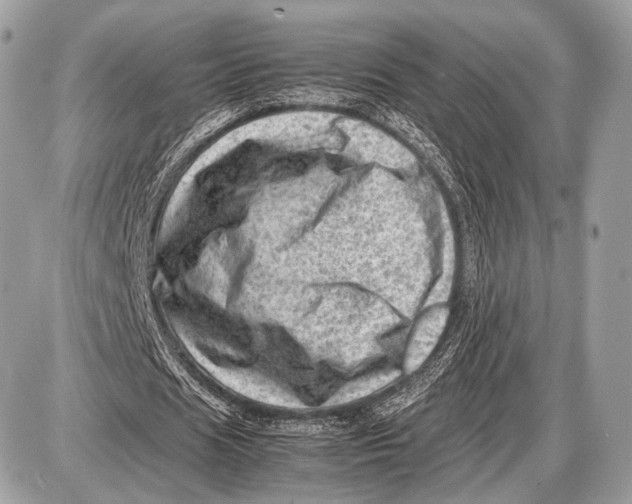 X0000087400625200705111826