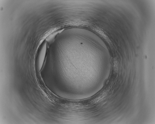 X0000087400626200705111826