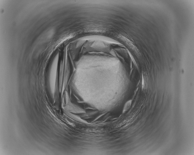 X0000087400627200705111826