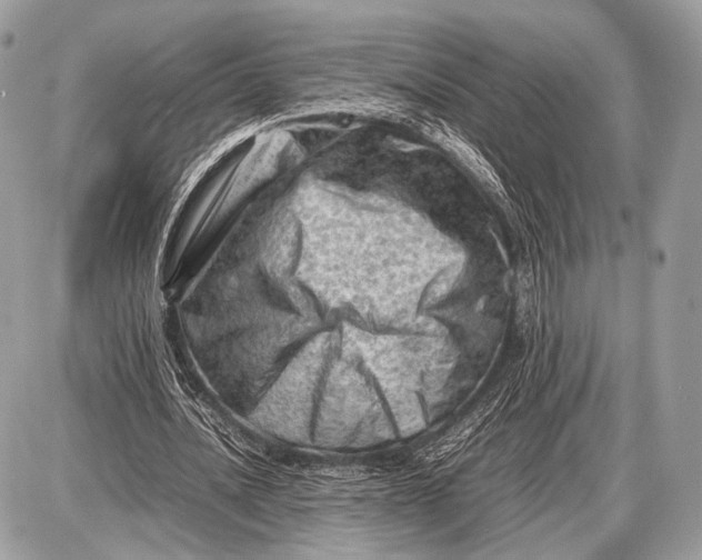 X0000087400628200705111826