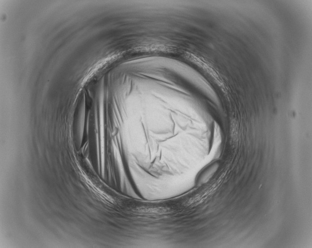 X0000087400629200705111826