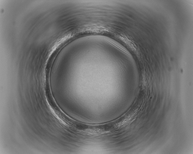 X0000087400630200705111826