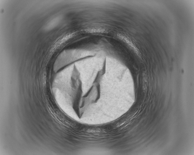 X0000087400631200705111826