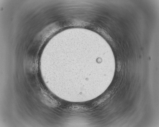 X0000087400632200705111826