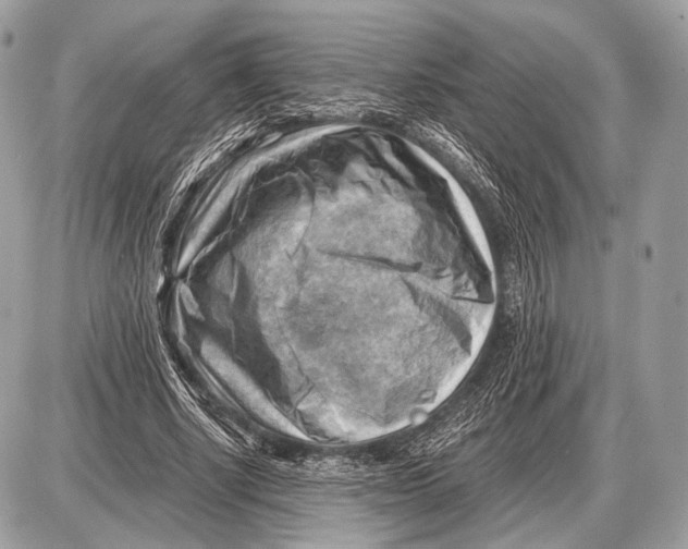 X0000087400634200705111826