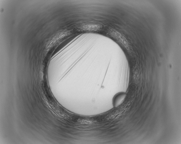 X0000087400635200705111826