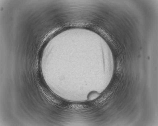 X0000087400636200705111826