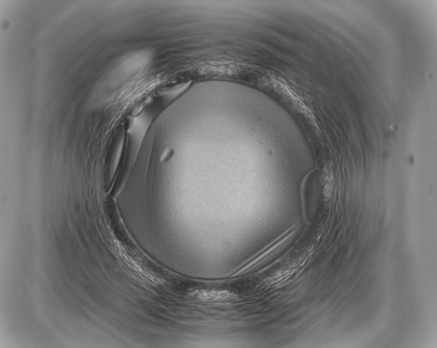 X0000087400637200705111826