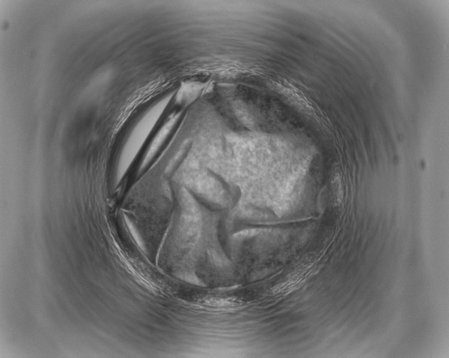 X0000087400638200705111827