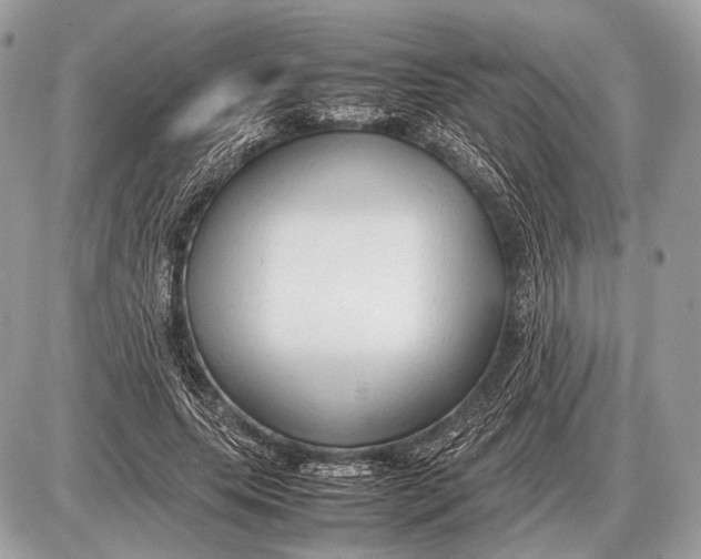 X0000087400639200705111827