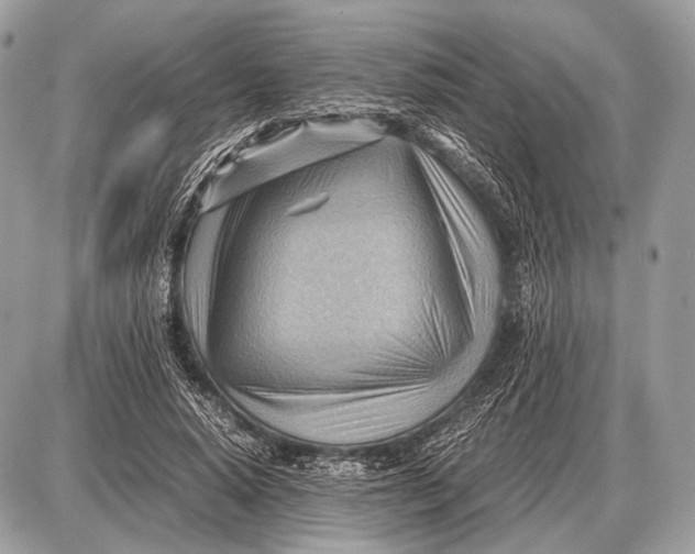 X0000087400640200705111827