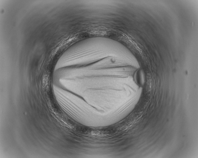 X0000087400641200705111827