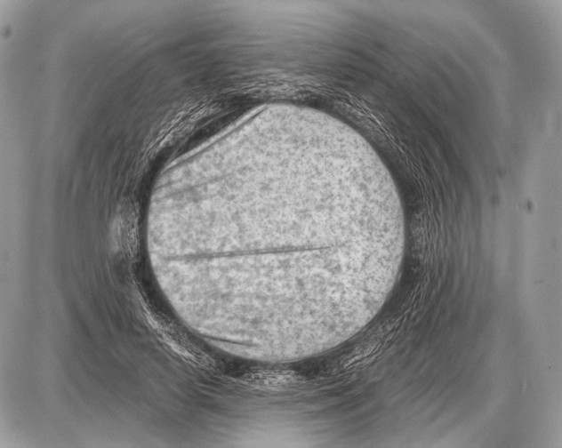 X0000087400642200705111827