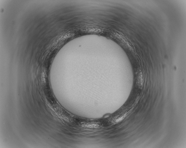 X0000087400643200705111827