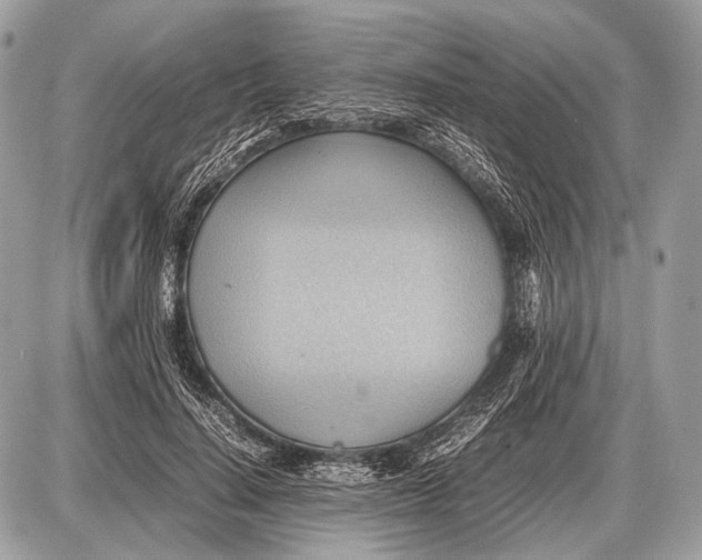 X0000087400644200705111827