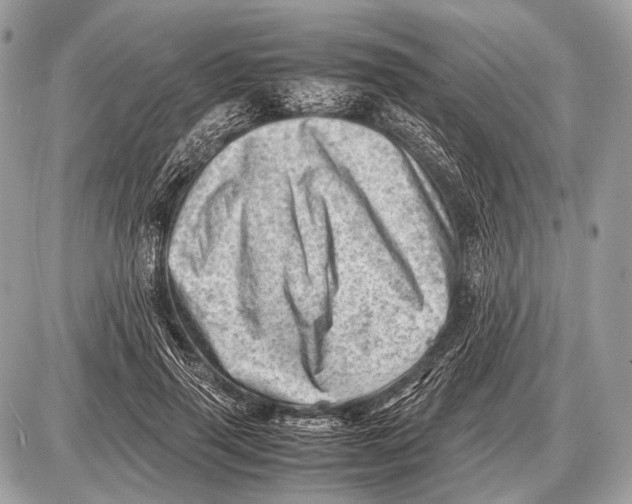 X0000087400645200705111827