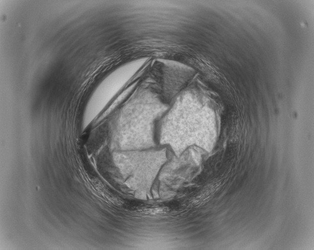 X0000087400646200705111827