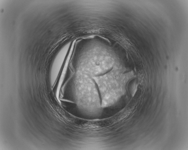 X0000087400648200705111827