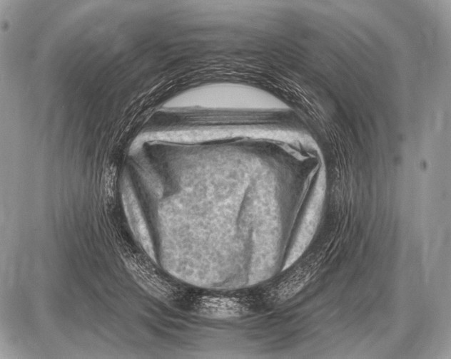 X0000087400649200705111827