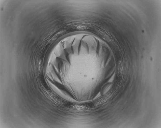 X0000087400650200705111827