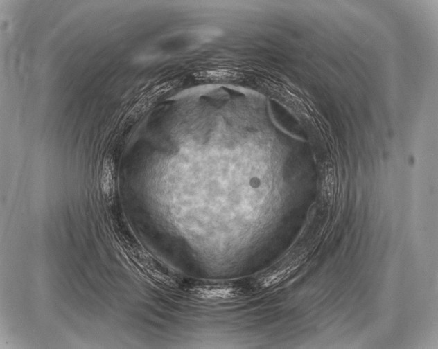 X0000087400651200705111827