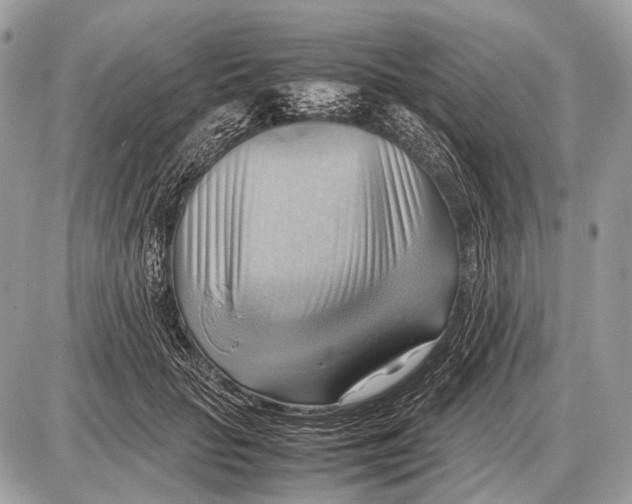 X0000087400653200705111827