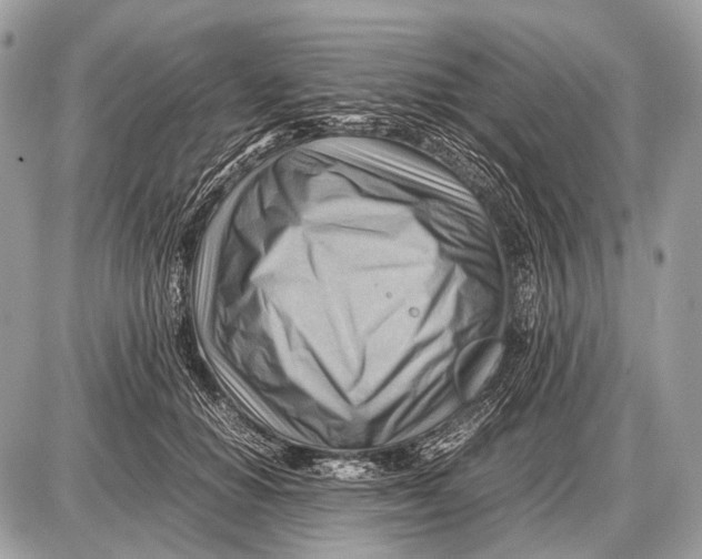 X0000087400654200705111827