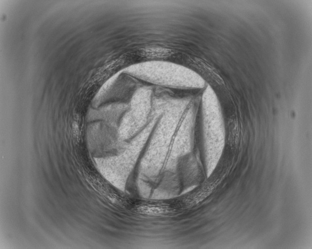 X0000087400655200705111827