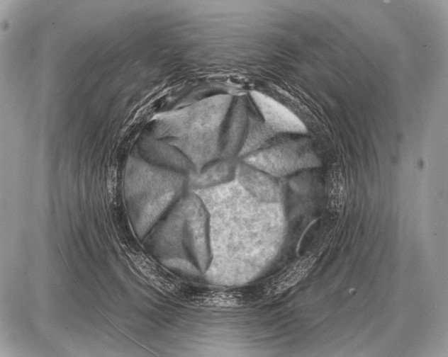 X0000087400656200705111827