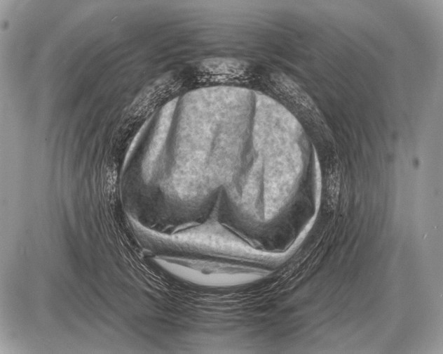 X0000087400657200705111827