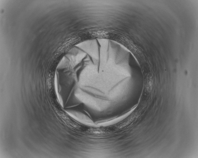 X0000087400658200705111827