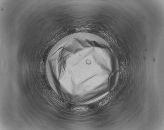 X0000087400659200705111827