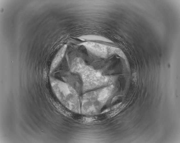 X0000087400662200705111827