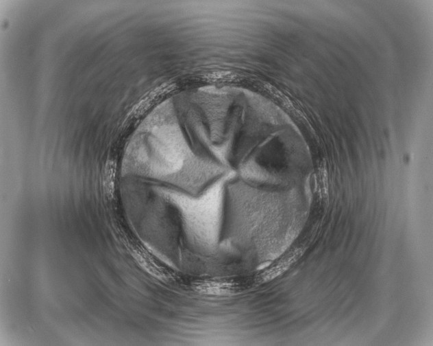 X0000087400664200705111827