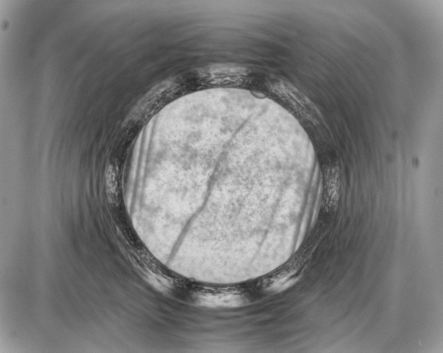 X0000087400667200705111827