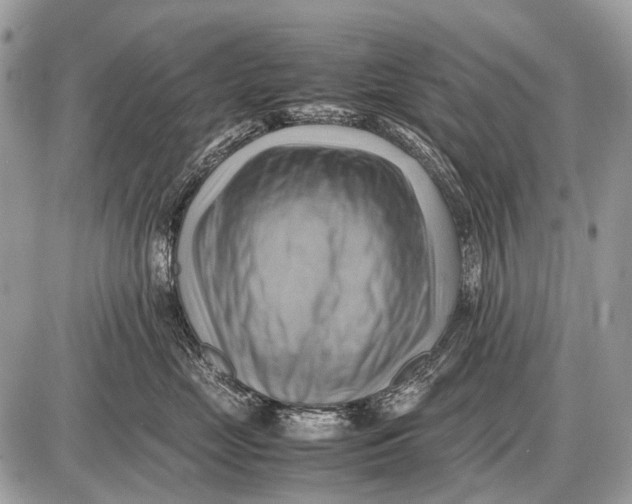 X0000087400669200705111827