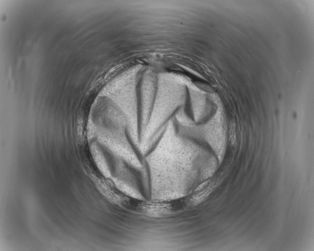 X0000087400670200705111827