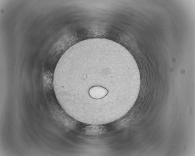 X0000087400672200705111827