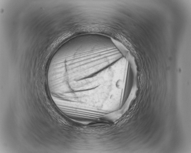 X0000087400673200705111826