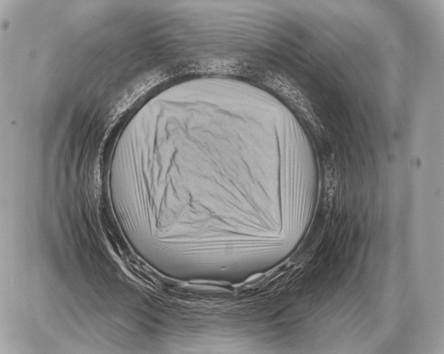 X0000087400674200705111826