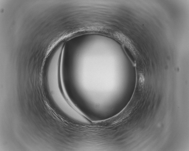 X0000087400676200705111826