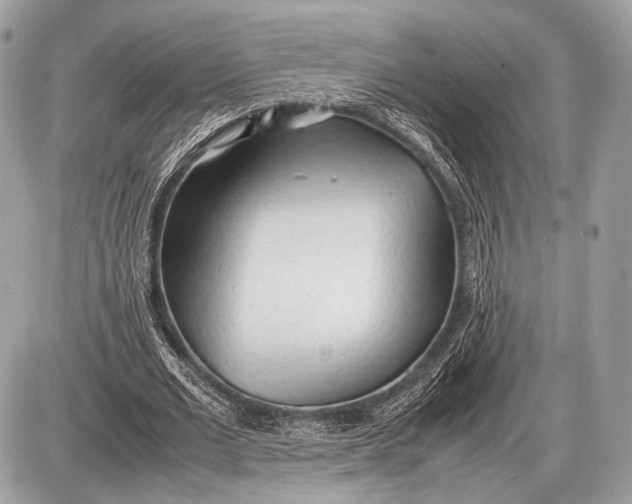 X0000087400677200705111826