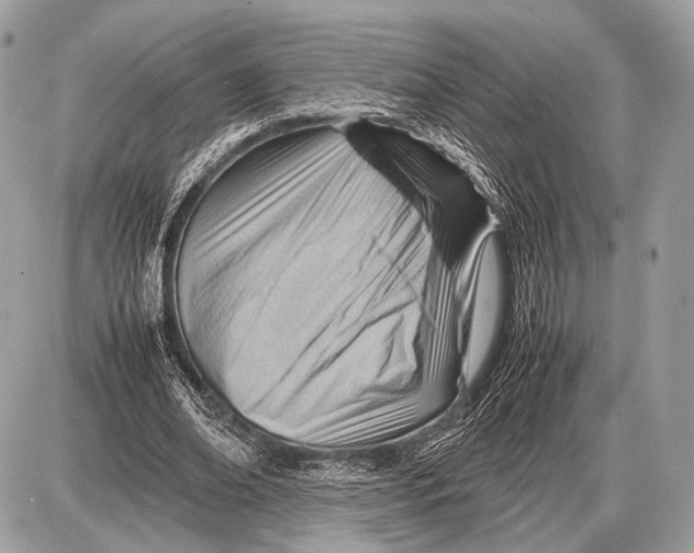 X0000087400678200705111826