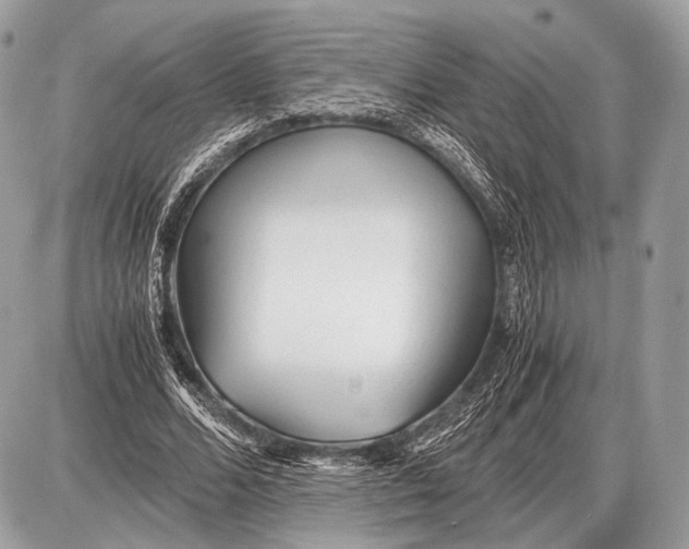 X0000087400680200705111826